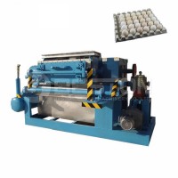 low price egg tray machine egg carton equipment/low energy consume tray machine